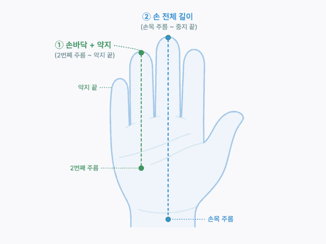 자로 손 크기 측정법 — 손바닥+약지 길이(테니스)와 손목~중지 끝 길이(골프) 측정 위치 안내
